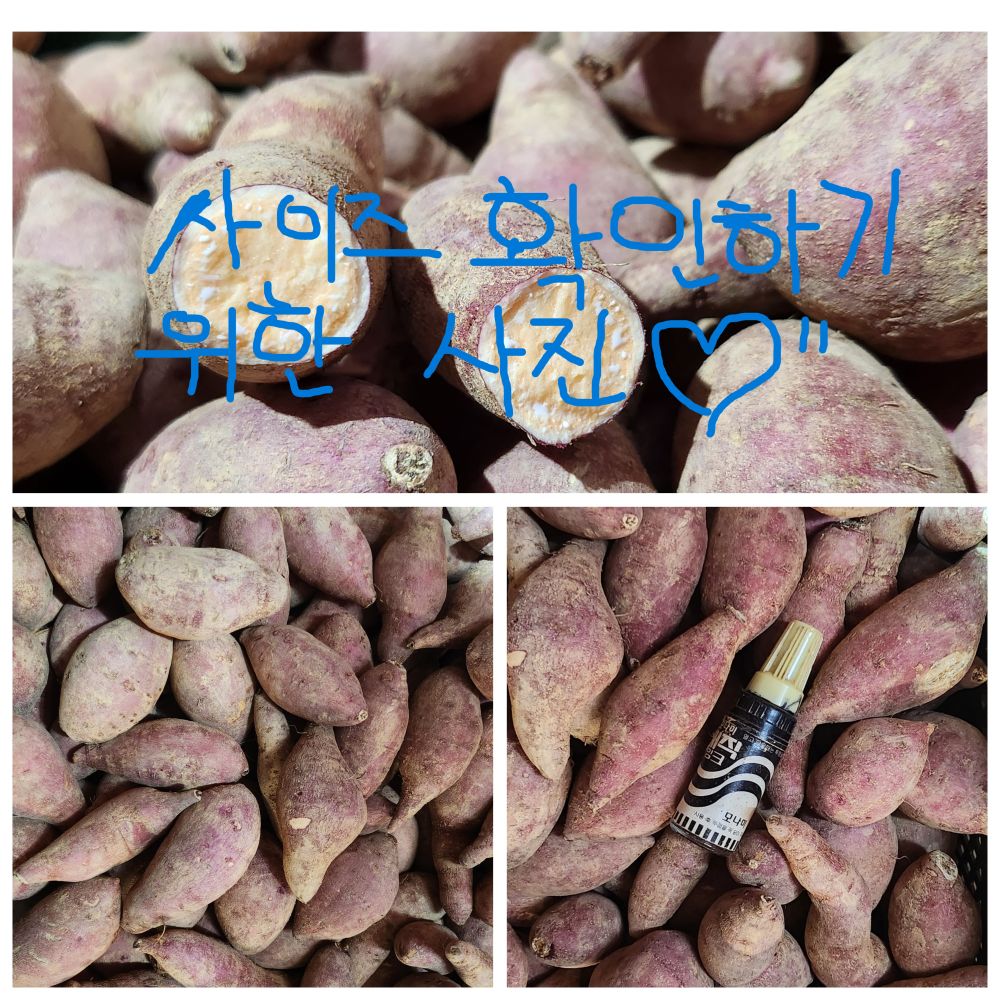 10kg 햇밤 꼬마 고구마 (40~80그람)
